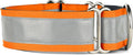 If It Barks - 1.5" Reflective Martingale Collar for Dogs - Adjustable - Made in USA - Strong, Durable, and Comfy - Ideal for Training - Suitable for Most Breeds - Large, Orange