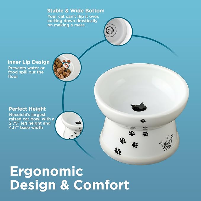 Necoichi Ceramic Elevated Cat Food Bowl, Whisker-Friendly (Cats, Regular)