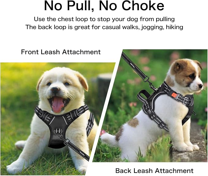 Petmolico No Pull Dog Harness Set with Leash Attachment Easy Control Handle Reflective Harness Vest Small Breed, Puppy Vest and Leash Set with Poop Bag Holder, Medium - Black