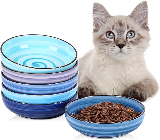 Selamica Ceramic Cat Food Bowl, 5.6 Inch Wide Shallow Cat Bowls/Dishes for Food and Water, Whisker Friendly, Set of 6, Gradient Blue