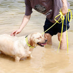 Waterproof Long Dog Leash Recall Training Lead 5 10 16 30 50 Foot for Large Medium Small Dogs Outdoor Training Walking Playing and Camping