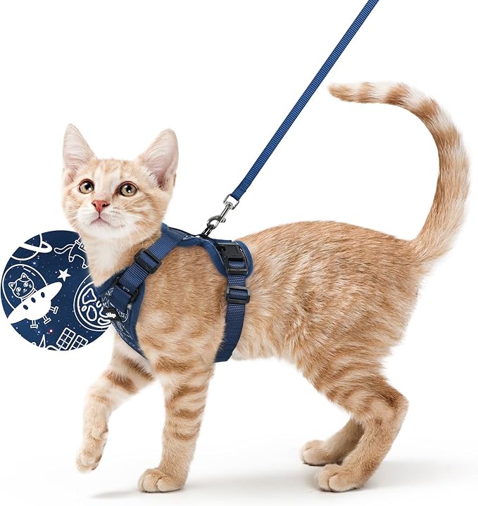 rabbitgoo Cat Harness and Leash Set, Escape Proof Vest, Cosmic Ace | Soft Breathable Mesh, Easy Adjustable Fit, Snap Buckles, Sturdy Clip, Reflective Strips, for Average Cats Walks, S