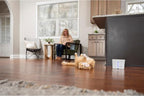 PetSafe Viva Pet Fountain - Encourages Healthy Hydration - Automatic Water Dispenser with Double Filtration - Ultra Quiet Water Fountain - Easy to Assemble & Clean - Stainless Steel - 64 oz | Whisper-Quiet Pump Encourages Hydration, BPA-Free, Dishwashe...