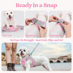 rabbitgoo Dog Harness Small Sized and Leash Set, Step-in Puppy Pet Vest | Light, Soft, Breathable Air Mesh, Easy on and Remove with Hook & Loop, Secure Reflective for Walking, Light Pink & Gray M
