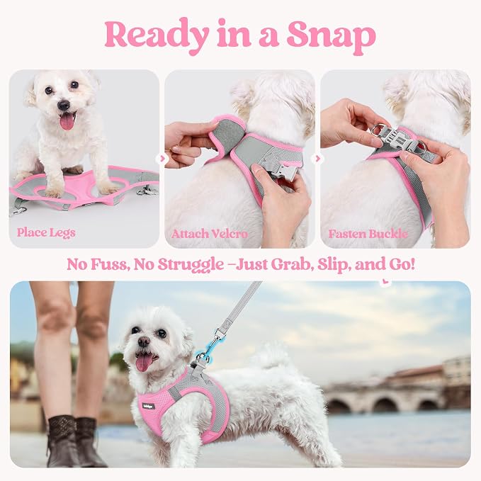 rabbitgoo Dog Harness Small Sized and Leash Set, Step-in Puppy Pet Vest | Light, Soft, Breathable Air Mesh, Easy on and Remove with Hook & Loop, Secure Reflective for Walking, Light Pink & Gray S