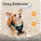 Eagloo Small Dog Harness and Leash Set, Step in Medium Small Puppy Pet Vest | Light, Soft, Breathable Air Mesh, Easy on and off with Hook & Loop, Reflective for Safe Walking, Black, L
