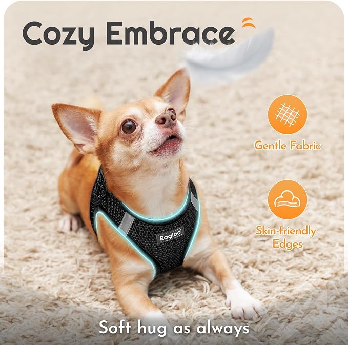 Eagloo Small Dog Harness and Leash Set, Step in Medium Small Puppy Pet Vest | Light, Soft, Breathable Air Mesh, Easy on and off with Hook & Loop, Reflective for Safe Walking, Black, M