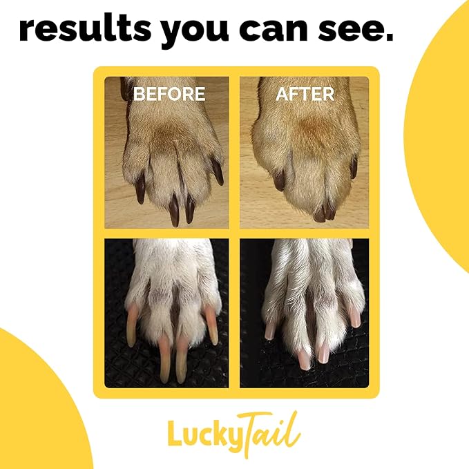 Dog Nail Grinder - Hard & Soft Replacement Heads - Small & Large Dogs - Premium Quality - Diamond Tip Drill Bit - Professional Dog Nail Trimmers - Grooming Tool kit - 2 Pack