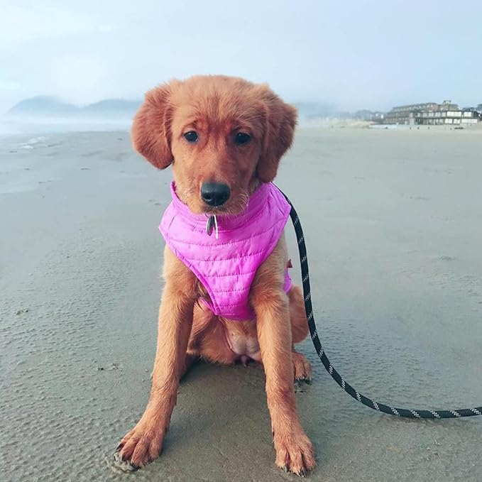 Gooby Puffer Vest Dog Jacket - Purple, X-Small - Ultra Thin Windbreaker with Dual D Ring Leash - Water Resistant Small Dog Sweater Coat