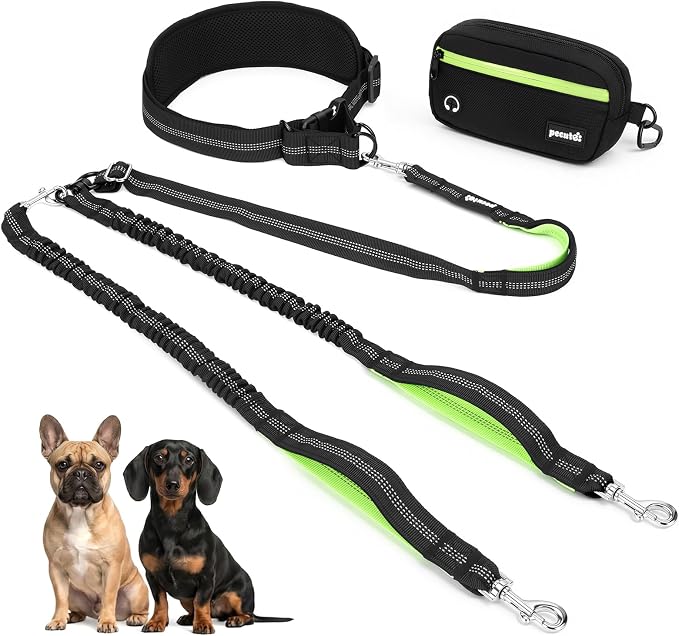 Pecute Hands Free Dog Leash for 2 Dogs, Waist Belt with Pouch, No Tangle | Shock absorbing bungee, dual padded handles, detachable waterproof fanny pack, heavy duty for large dogs, running & walking