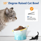 Tioncy 2 Pcs Raised Tilted Ceramic Cat Food Bowl Fish Shape Cute Elevated Slanted Shallow Angled Cat Dish Non Slip Feeder Bowl for Anti-Vomiting and Whisker Fatigue(Blue, Green)