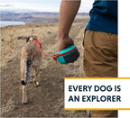 Ruffwear, Hitch Hiker Dog Leash, Adjustable Leash & Hitching System for Camping & Hiking, Sunny Lime