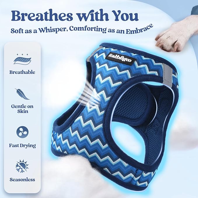 rabbitgoo Dog Harness Small Sized and Leash Set, Step-in Puppy Pet Vest | Light, Soft, Breathable Air Mesh, Easy on and Remove with Hook & Loop, Secure Reflective for Walking, Blue Zigzag M