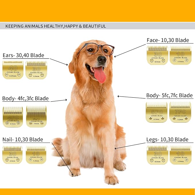 Gold Detachable Dog Blades Set Compatible with Andis/Oster A5 Grooming | Compatible with wahl km10 dog clipper,Made of Ceramic Blade & Stainless Steel Blade,Include 7FC/5FC/4FC/3FC 4 Pack