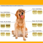 Gold Detachable Dog Blades Set Compatible with Andis/Oster A5 Grooming | Compatible with wahl km10 dog clipper,Made of Ceramic Blade & Stainless Steel Blade,Include 7FC/5FC/4FC/3FC 4 Pack
