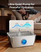 HINTON Stainless Steel Dog Water Fountain for Large Dogs, 12L, 3 Filters | Viewing Window, LED Water Level Indicator, Super Quiet Pump, Easy to Clean, BPA-Free
