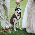 Kuoser Dog Tuxedo, Dog Suit and Bandana Set, Dogs Costume with D-Ring | Formal Dog Outfit with Detachable Bowtie Collar for Wedding, Birthday, Party, Christmas, Halloween, Brown L