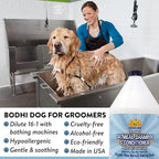 Bodhi Dog Natural Oatmeal Dog Shampoo & Conditioner - Hypoallergenic Formula - Naturally Deodorize Dogs, Cats & Pets - Moisturizes Dry, Itchy & Sensitive Skin - Made in USA (1 Gallon)
