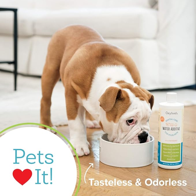 Oxyfresh Premium Pet Dental Care Solution Pet Water Additive – No Brushing | Perfect to Eliminate Bad Dog Breath and Cat Bad Breath – Fights Tartar & Plaque – So Easy, Just Add to Water – Vets Love It