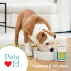 Oxyfresh Premium Pet Dental Care Solution Pet Water Additive – No Brushing | Perfect to Eliminate Bad Dog Breath and Cat Bad Breath – Fights Tartar & Plaque – So Easy, Just Add to Water – Vets Love It