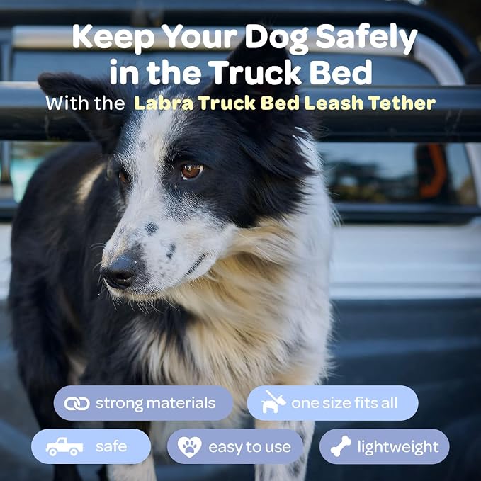 Labra Dog Heavy Duty Leash System for Truck Bed - Adjustable Dog Tether with Tie Down for Pickup Trucks - Secure Restraint - with Safety Lock for Car Travel - Single Teather