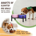 Ceramic Elevated Dog Bowl Set, 6.1''Raised Dog Food and Water Bowl Set with Non-Slip Stainless Steel Stand, Double Raised Dish for Small and Medium Breed, 3.5 Cups / 22 Fl Oz,- Christmas Set