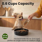 Ceramic Slow Feeder Dog Bowls 0.6 Cups for Small Fast Eaters,White | Reduces Bloating,6.02x1.38 Inch Dish For Daily Dog Meals, Maze Puzzle Slows Down Eating, Anti-Choking,9.0oz Water