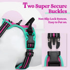 rabbitgoo Dog Harness, No Pull for Small Dogs with 2 Leash Clips, Pet Vest | No Choke with Handle, Adjustable Soft Padded, Reflective, Easy Control for Walking, Hot Pink & Turquoise, Small