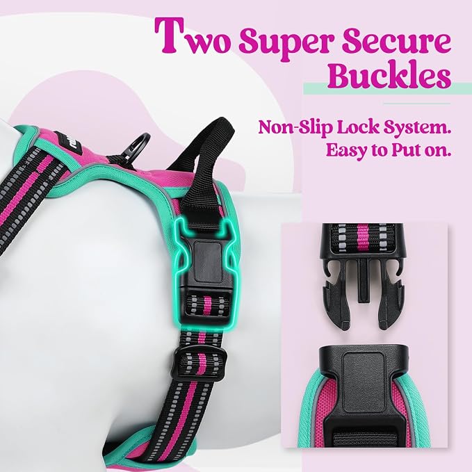 rabbitgoo Dog Harness, No Pull for Small Dogs with 2 Leash Clips, Pet Vest | No Choke with Handle, Adjustable Soft Padded, Reflective, Easy Control for Walking, Hot Pink & Turquoise, Small