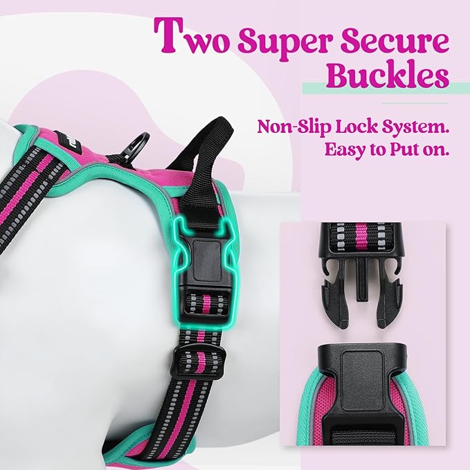 rabbitgoo Dog Harness, No Pull for Large Dogs with 2 Leash Clips, Pet Vest | No Choke with Handle, Adjustable Soft Padded, Reflective, Easy Control for Walking, Hot Pink & Turquoise, X-Large