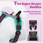 rabbitgoo Dog Harness, No Pull for Large Dogs with 2 Leash Clips, Pet Vest | No Choke with Handle, Adjustable Soft Padded, Reflective, Easy Control for Walking, Hot Pink & Turquoise, X-Large