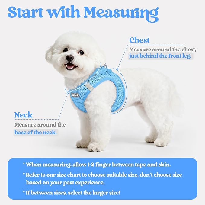 rabbitgoo Dog Harness Small Sized and Leash Set, Step-in Puppy Pet Vest | Light, Soft, Breathable Air Mesh, Easy on and Remove with Hook & Loop, Secure Reflective for Walking, Blue XXXS