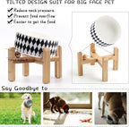 Petygooing Raised/Elevated 15°Slanted Ceramic Dog Bowl for Small Breeds,Tilted Anti Slip Pet Bowl,Food Water Dish with Stand for Cats and Small Dogs Puppy 13.5 OZ (5.1In / 1.7 Cups) Black Rhombus