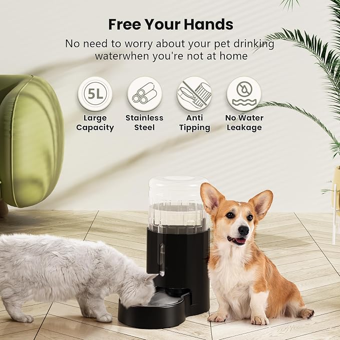 CZPET Dog Water Bowl Dispenser 5L, Wider Mouth Gravity Refilling (Black) | Automatic Cat Waterer with Removable Stainless Steel Bowl, Upgraded Brush, Easy Cleaning, Large Drinking Area for Multi-Pet