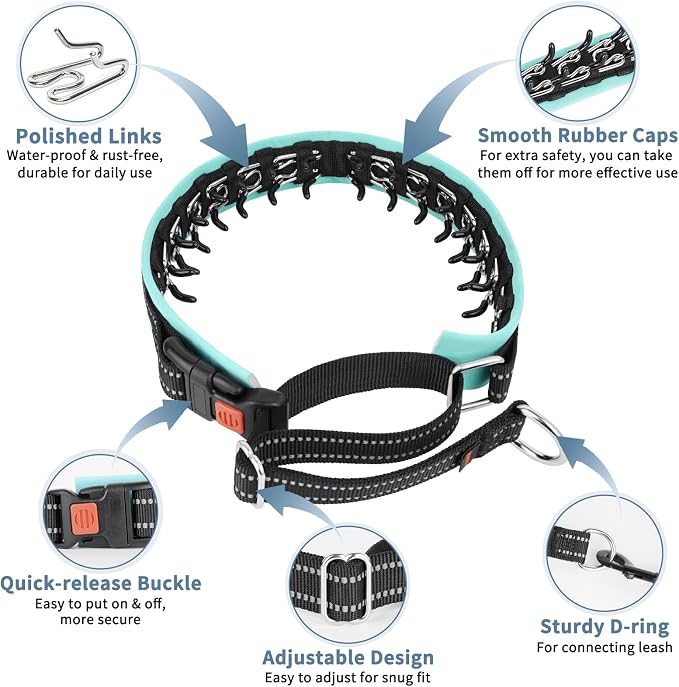 Mayerzon Martingale No Pull Collar for Medium Large Dogs | Teal Trim, S | Patented Anti Pull Dog Collar with Buckle for Walking Training, Neoprene Padding, Reflective Stitching, Adjustable, Sturdy