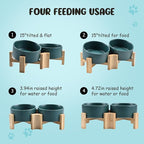 SPUNKYJUNKY 15° Slanted Ceramic Dog and Cat Bowl with Wooden Stand, Tilted Bulldog Food and Water Bowl No Slip Non-Spill for Cats Medium Dogs Big Face Pets 28.7 OZ (3.6 Cups, Green × 2)