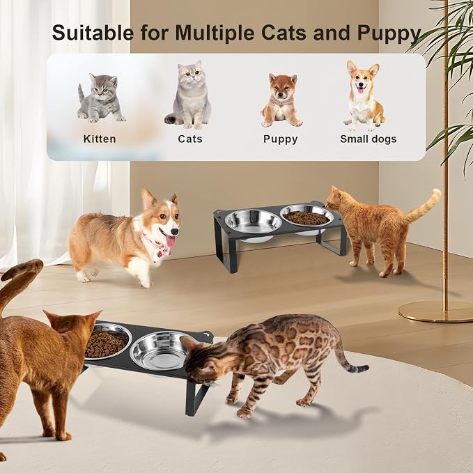 2 Set Elevated Cat Food Water Bowls, 4 Stainless Steel Bowls for Indoor Pet with Cute Metal Stand, 10° Tilted Anti-Vomiting Wide Shallow Raised Cat Dishes Whisker Friendly for Multiple Kitten,Puppy