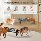 1 Set Elevated Cat Food Water Bowls, 4 Replacement Stainless Steel Bowls for Indoor Pet with Cute Metal Stand, 10° Tilted Anti-Vomiting Raised Wide Shallow Cat Dishes Whisker Friendly for Kitten,Puppy