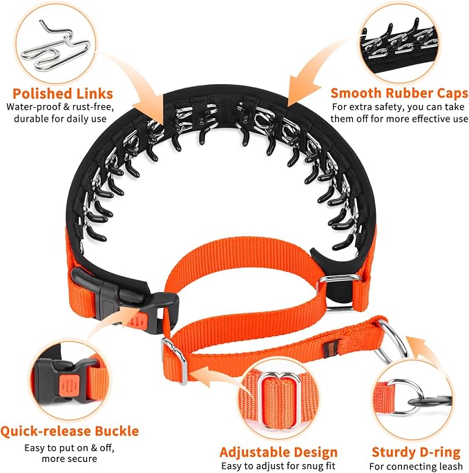 Mayerzon Martingale No Pull Collar for Medium Large Dogs | Sunset Orange, L | Patented Anti Pull Dog Collar with Buckle for Walking Training, Neoprene Padding, Adjustable, Hidden Design, 2.5mm Links