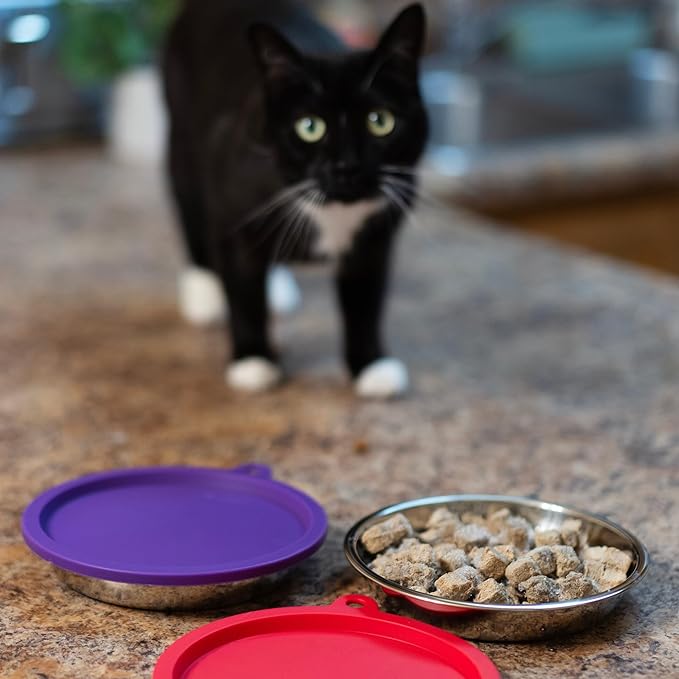 Messy Cats 4 Piece Set, 2 Stainless Bowls and 2 Lids, 1.75 Cup | Cat Feeding Set With Two Stainless Saucer Bowls And Two Airtight Silicone Lids For Meal Prep And Storage