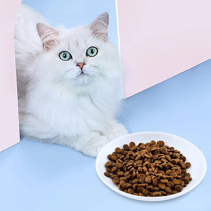 2 Ceramic Cat Bowls, 5.9 Inch Wide Shallow Feeding Dishes for Dry/Wet Food | Reduces whisker contact; lead-free; holds water too; dishwasher safe; stable heavy design; fits cats and small dogs