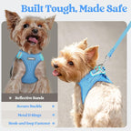 rabbitgoo Dog Harness Small Sized and Leash Set, Step-in Puppy Pet Vest | Light, Soft, Breathable Air Mesh, Easy on and Remove with Hook & Loop, Secure Reflective for Walking, Blue M