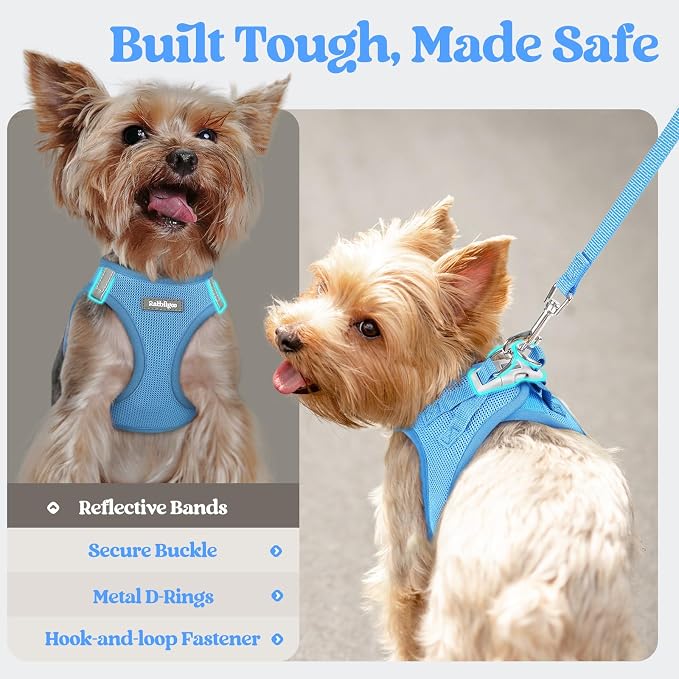 rabbitgoo Dog Harness Medium Sized and Leash Set, Step-in Puppy Pet Vest | Light, Soft, Breathable Air Mesh, Easy on and Remove with Hook & Loop, Secure Reflective for Walking, Blue XL