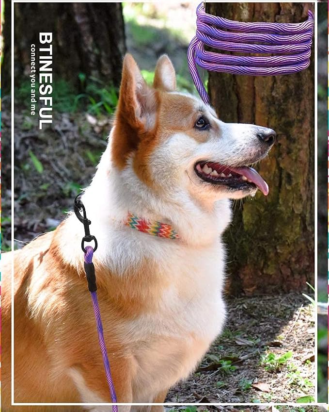 BTINESFUL 8/12/20/30/50/75ft Dog Tie-Out Long Tether Rope Dog Lead for Yard | Large Medium Dog Line for Outside Training, Playing, Camping, Backyard Leash (20ft, Pink Blue)