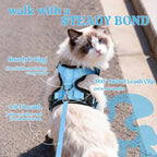 rabbitgoo Cat Harness and Leash Set, Escape Proof Vest, Light Blue | Soft Breathable Mesh, Easy Adjustable Fit, Snap Buckles, Sturdy Clip, Reflective Strips, for Kittens & Small Cats Walks, Xxs
