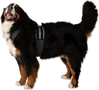 CoolerDog Dog Cooling Vest & Cooling Collar – Ice Vest for Hot Weather Heat Relief, Re-Freezable Pure Water Inserts (X-Large 34”–40” Girth)