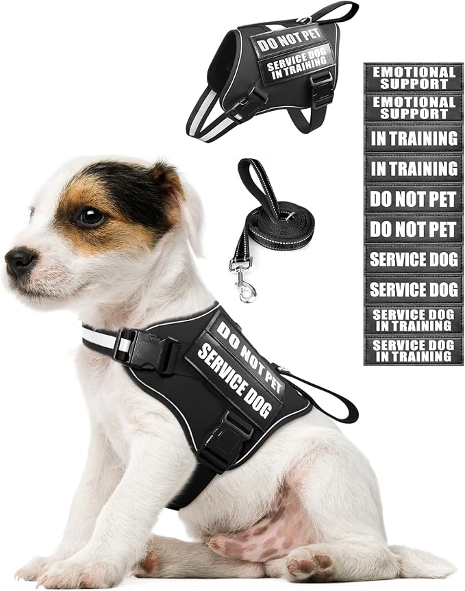 Service Dog Vest Harness and Leash Set+10 Patches for Puppy Small Dogs,Do Not Pet Emotional Support Dog Vest with 2 Soft Padded Handle for Everyday/Training (Black XS) | Adjustable Reflective Do Not Pet Emotional Support Dog Vest with 2 Soft Padded Han...