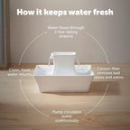 PetSafe Drinkwell Pagoda Fountain, 70 oz Ceramic, 4-Pk Filters Included | 2 Free-Falling Water Streams Encourage Hydration, Pet Water Fountain for Cats & Dogs, Includes 4 Carbon + 2 Foam Filters