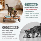 SPUNKYJUNKY Ceramic Elevated Tilted Dog Bowls Bone-Shaped Raised with 2 Height Iron Stand, 4.9'' Dog and Cat Food Water Bowls Set Non-Slip for Puppy Kitten Small Sized Breed - 7 OZ,Light Green