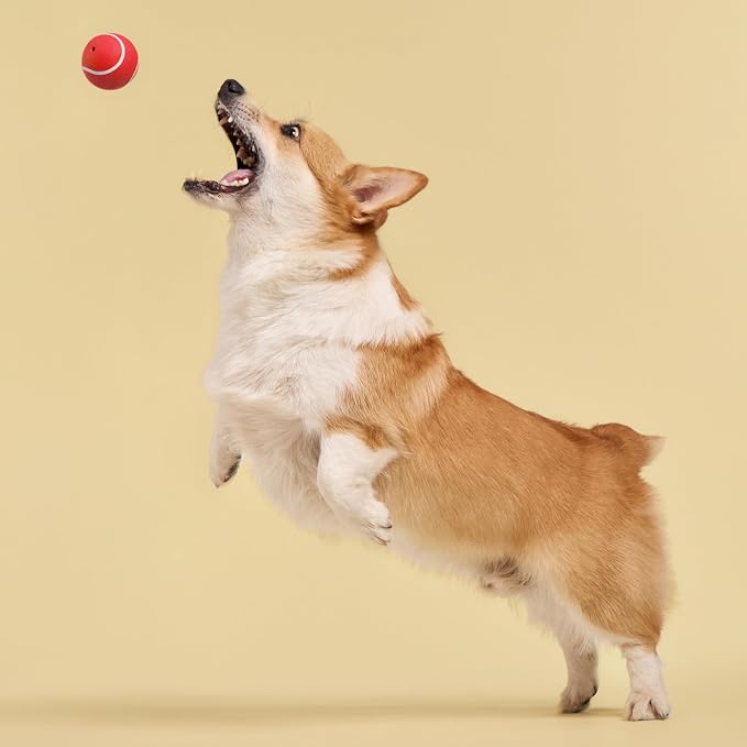 Playology Dog Toys | Squeaky Chew Ball for Dogs | Beef Scented Medium Dog Ball | Bouncy Floating Chew Toys for Fetch